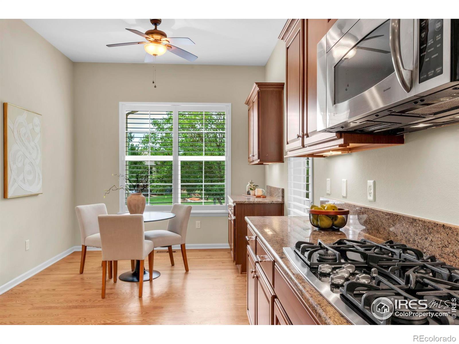 MLS Image #12 for 4518  silver mountain loop,broomfield, Colorado