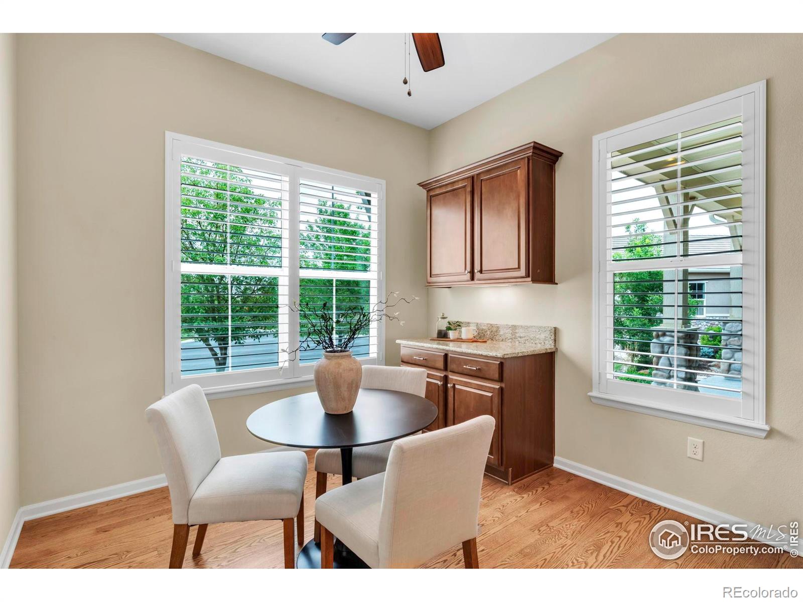 MLS Image #13 for 4518  silver mountain loop,broomfield, Colorado