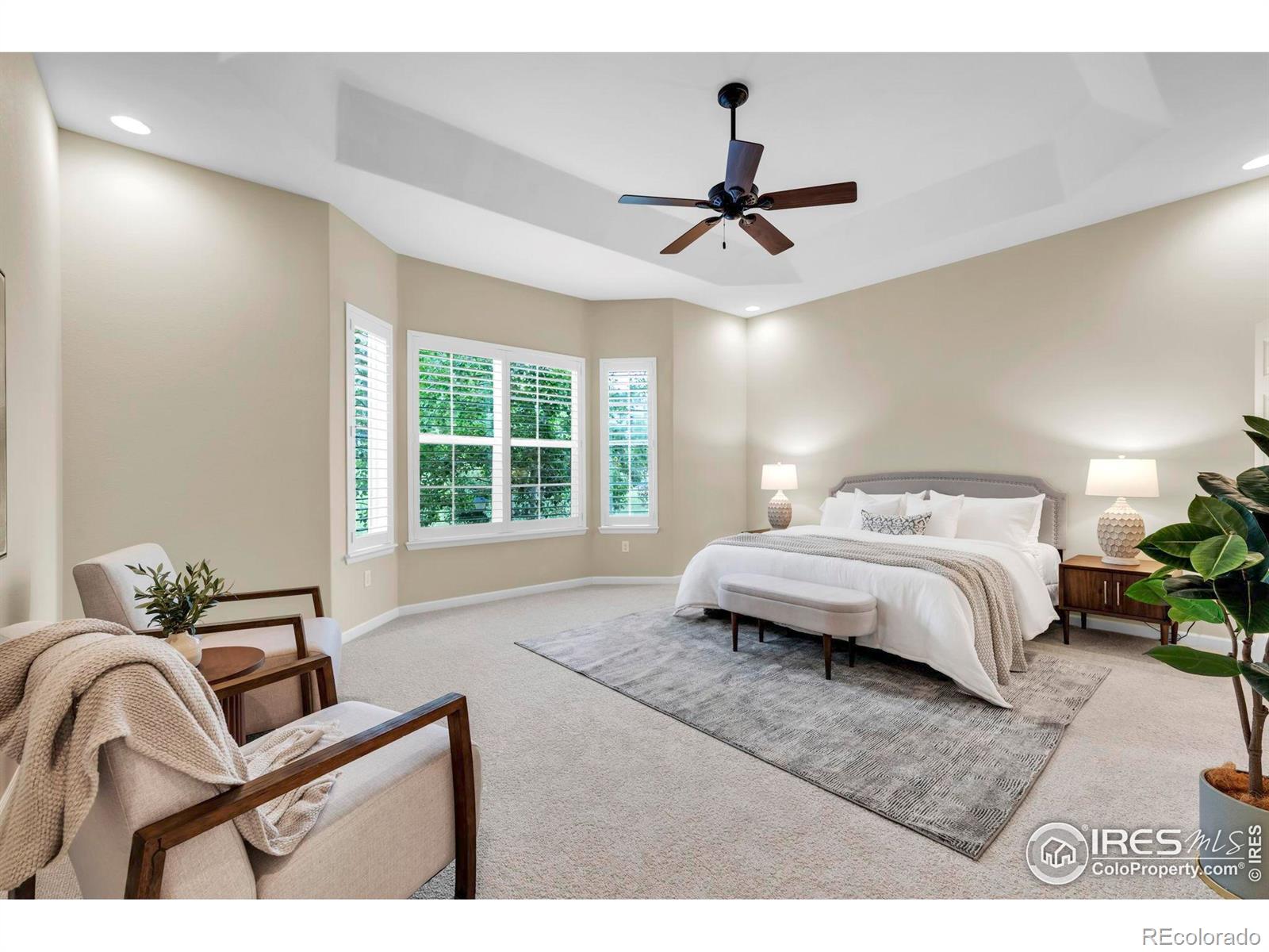 MLS Image #15 for 4518  silver mountain loop,broomfield, Colorado