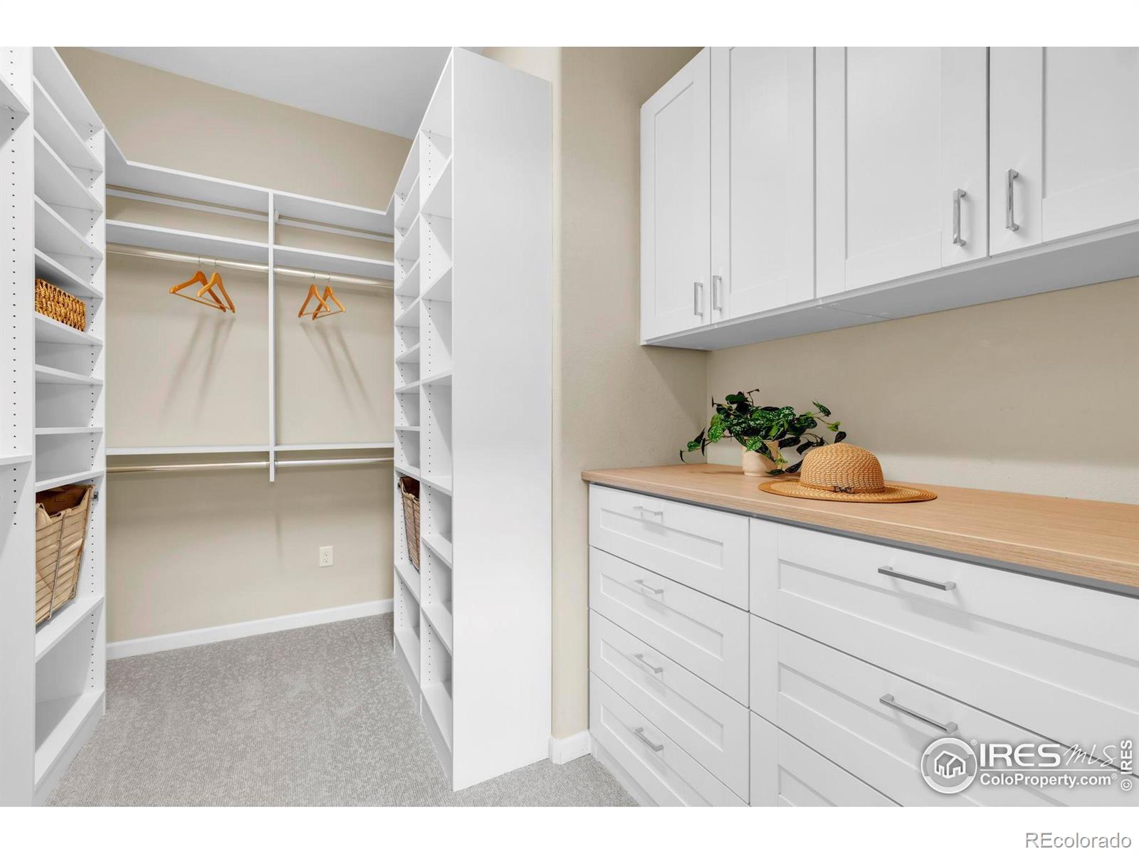 MLS Image #19 for 4518  silver mountain loop,broomfield, Colorado