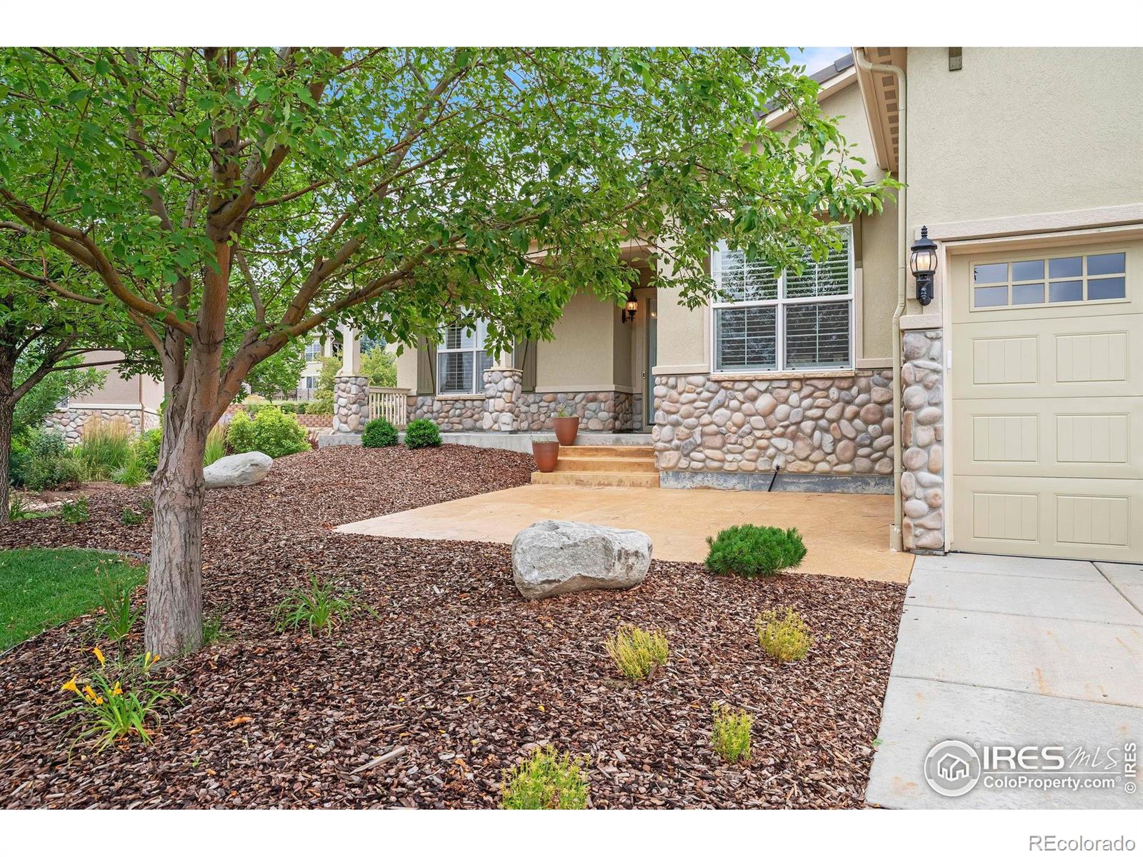 MLS Image #2 for 4518  silver mountain loop,broomfield, Colorado
