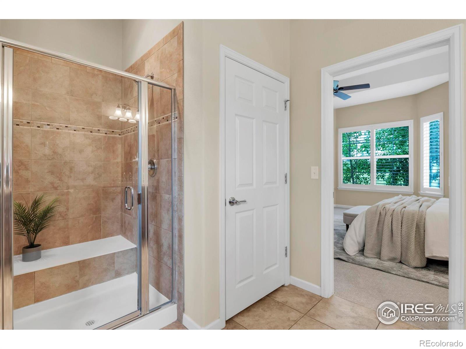 MLS Image #20 for 4518  silver mountain loop,broomfield, Colorado