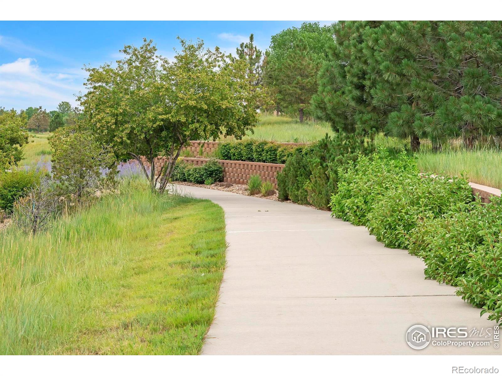 MLS Image #33 for 4518  silver mountain loop,broomfield, Colorado