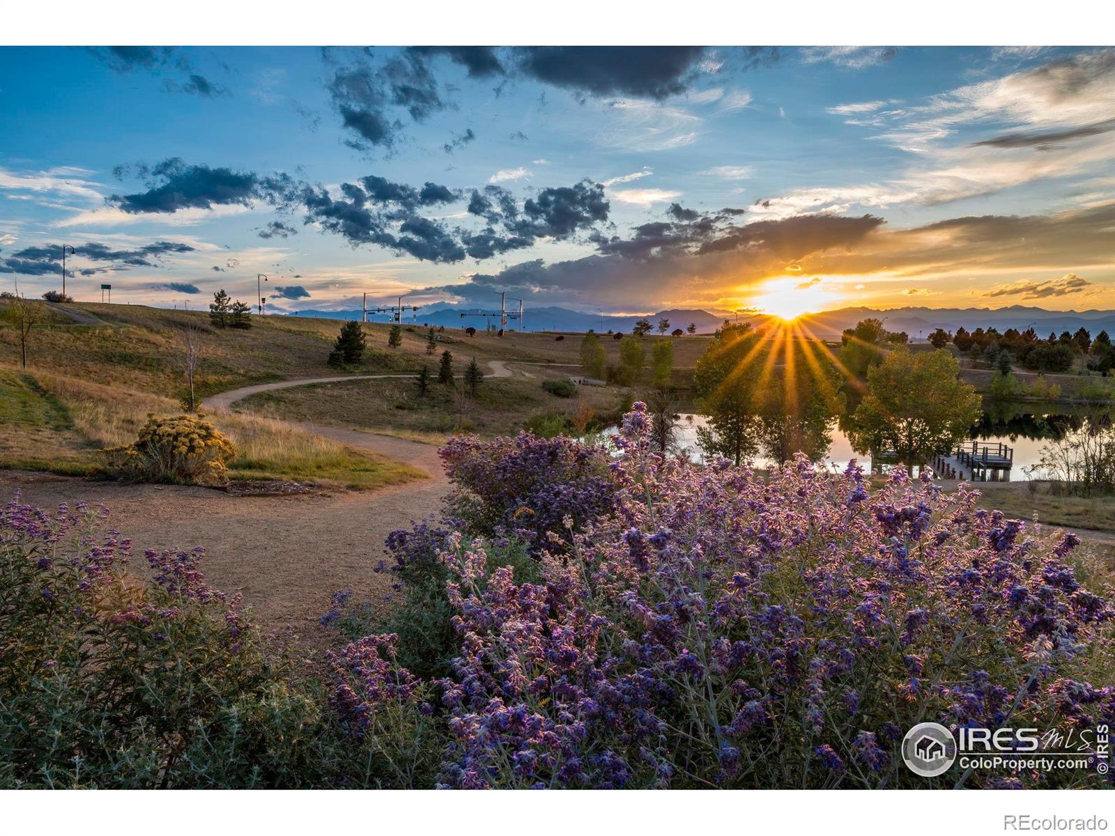 MLS Image #38 for 4518  silver mountain loop,broomfield, Colorado