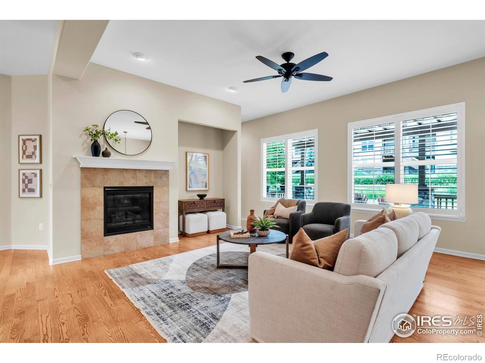 MLS Image #6 for 4518  silver mountain loop,broomfield, Colorado