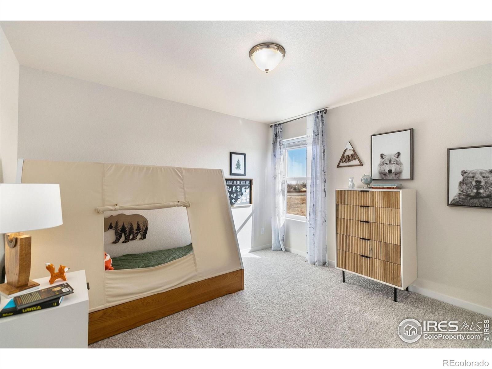 MLS Image #21 for 18  chipeta way,lochbuie, Colorado
