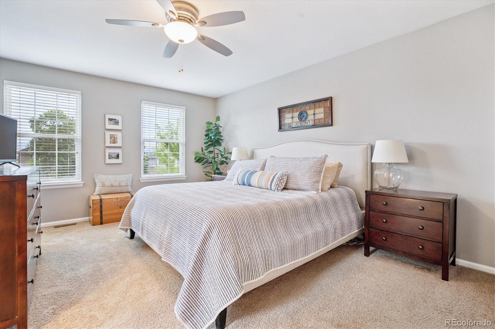 MLS Image #12 for 1351  mulberry lane,highlands ranch, Colorado