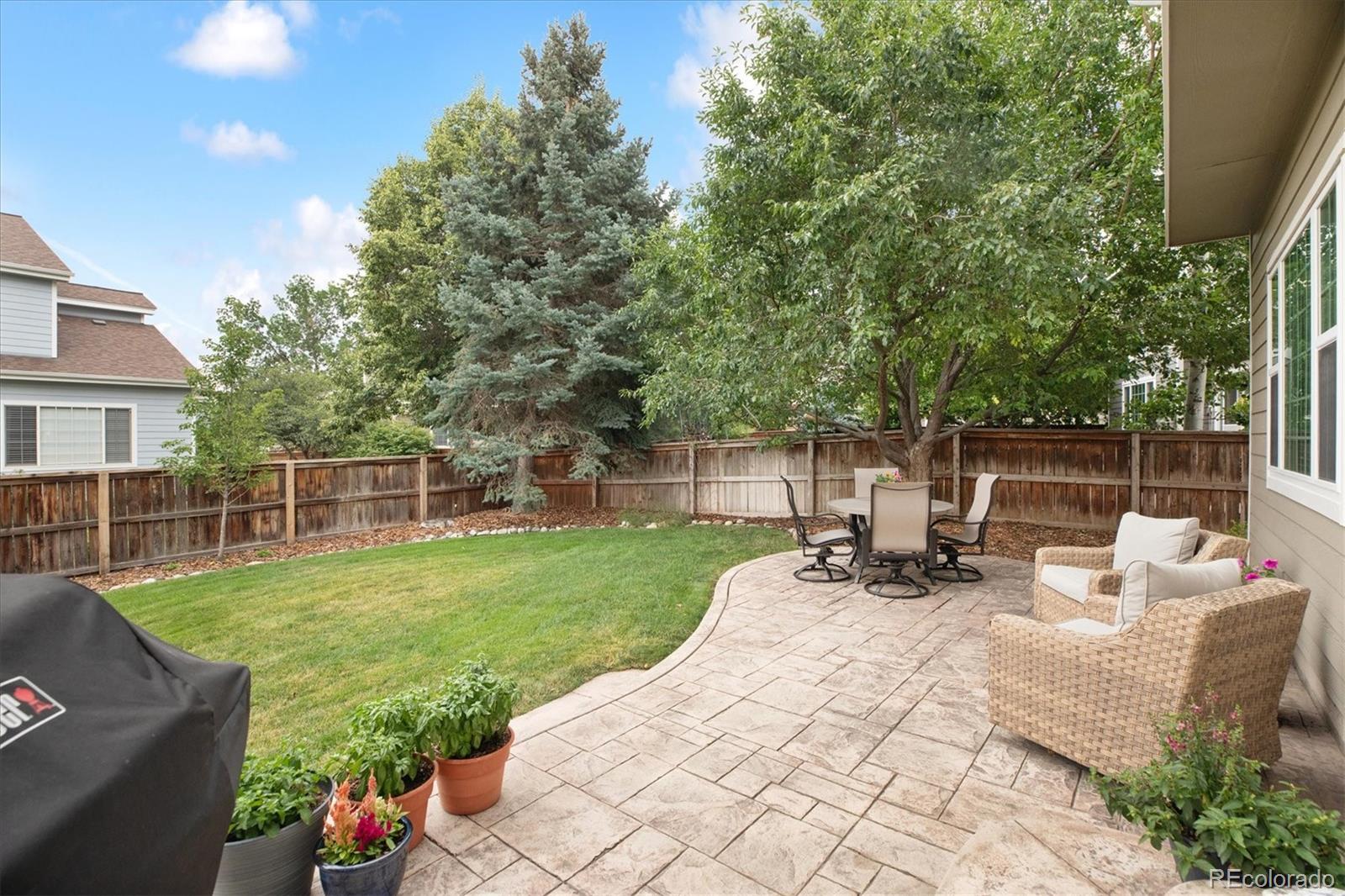 MLS Image #21 for 1351  mulberry lane,highlands ranch, Colorado