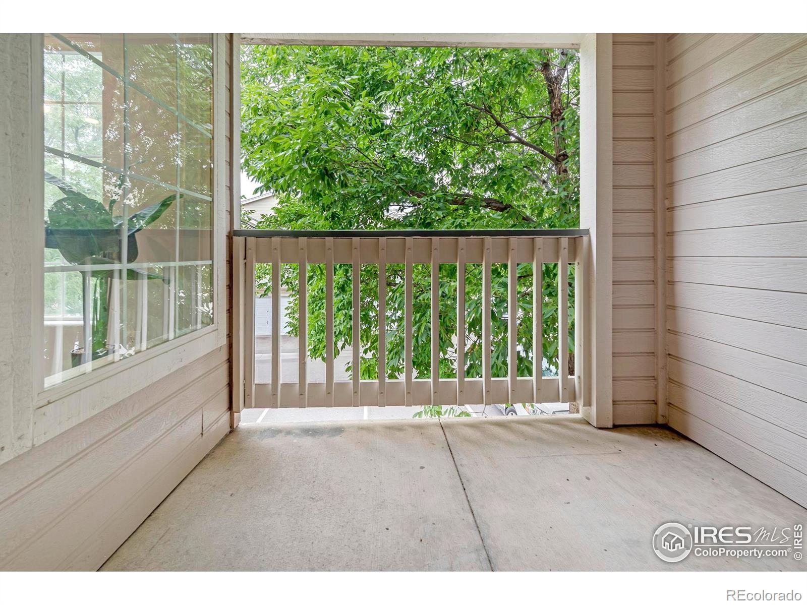 MLS Image #12 for 1120  opal street,broomfield, Colorado