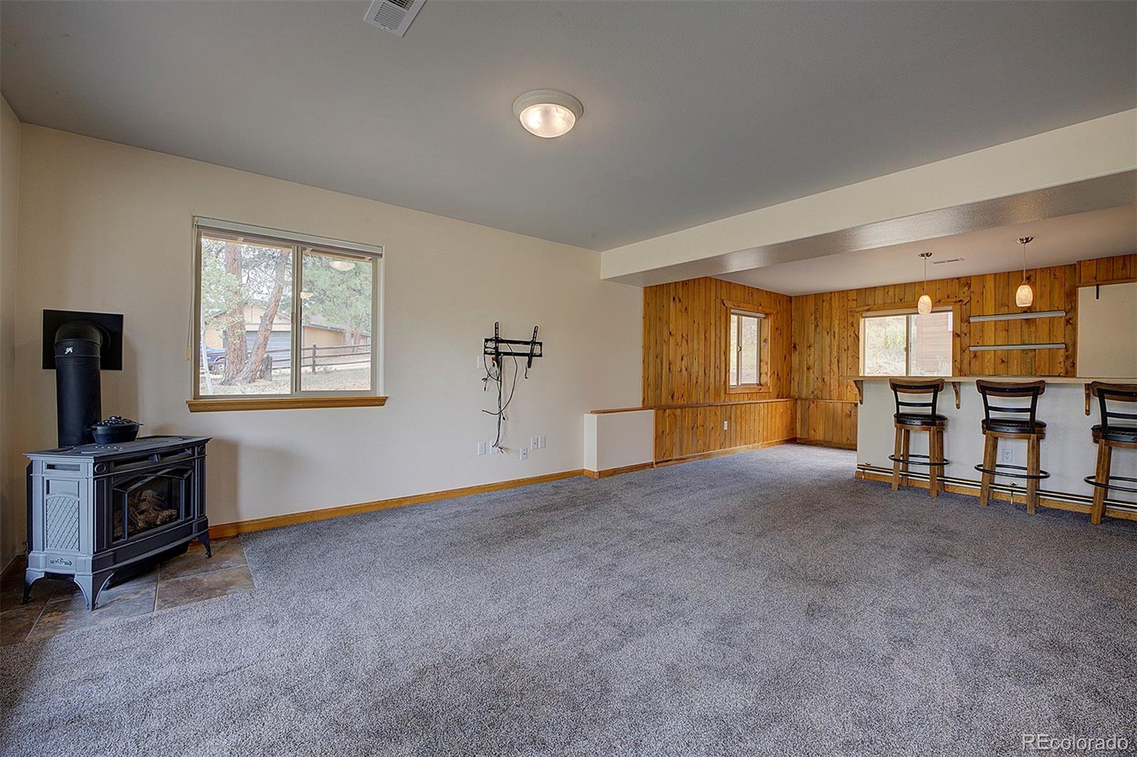 MLS Image #22 for 111  mount evans drive,bailey, Colorado
