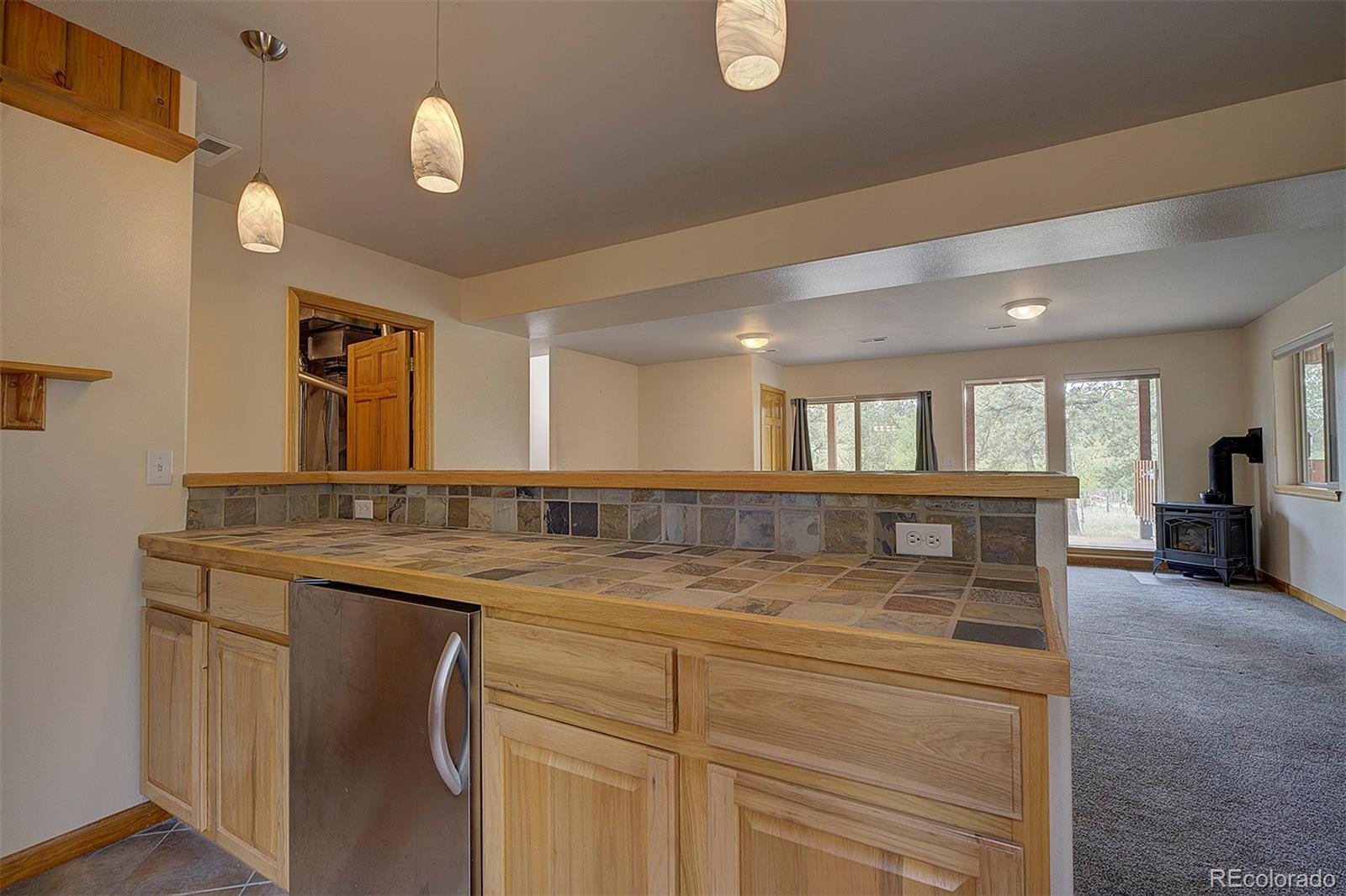 MLS Image #25 for 111  mount evans drive,bailey, Colorado