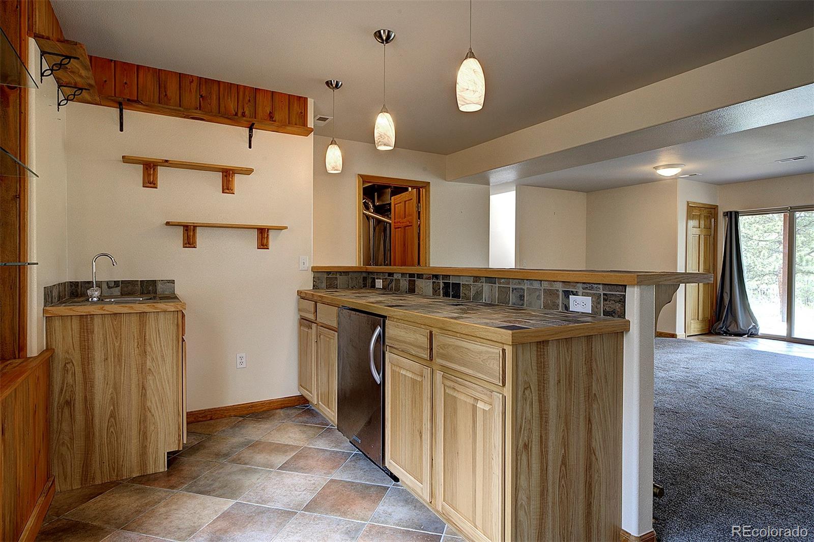 MLS Image #26 for 111  mount evans drive,bailey, Colorado