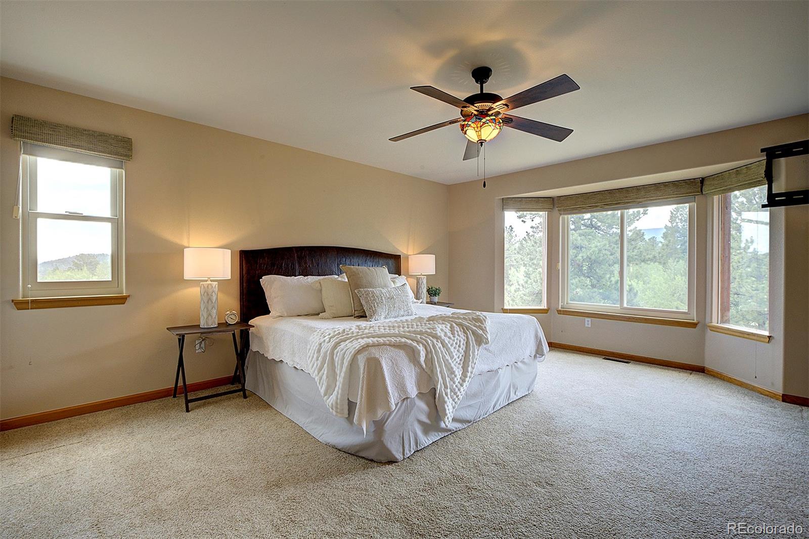 MLS Image #4 for 111  mount evans drive,bailey, Colorado
