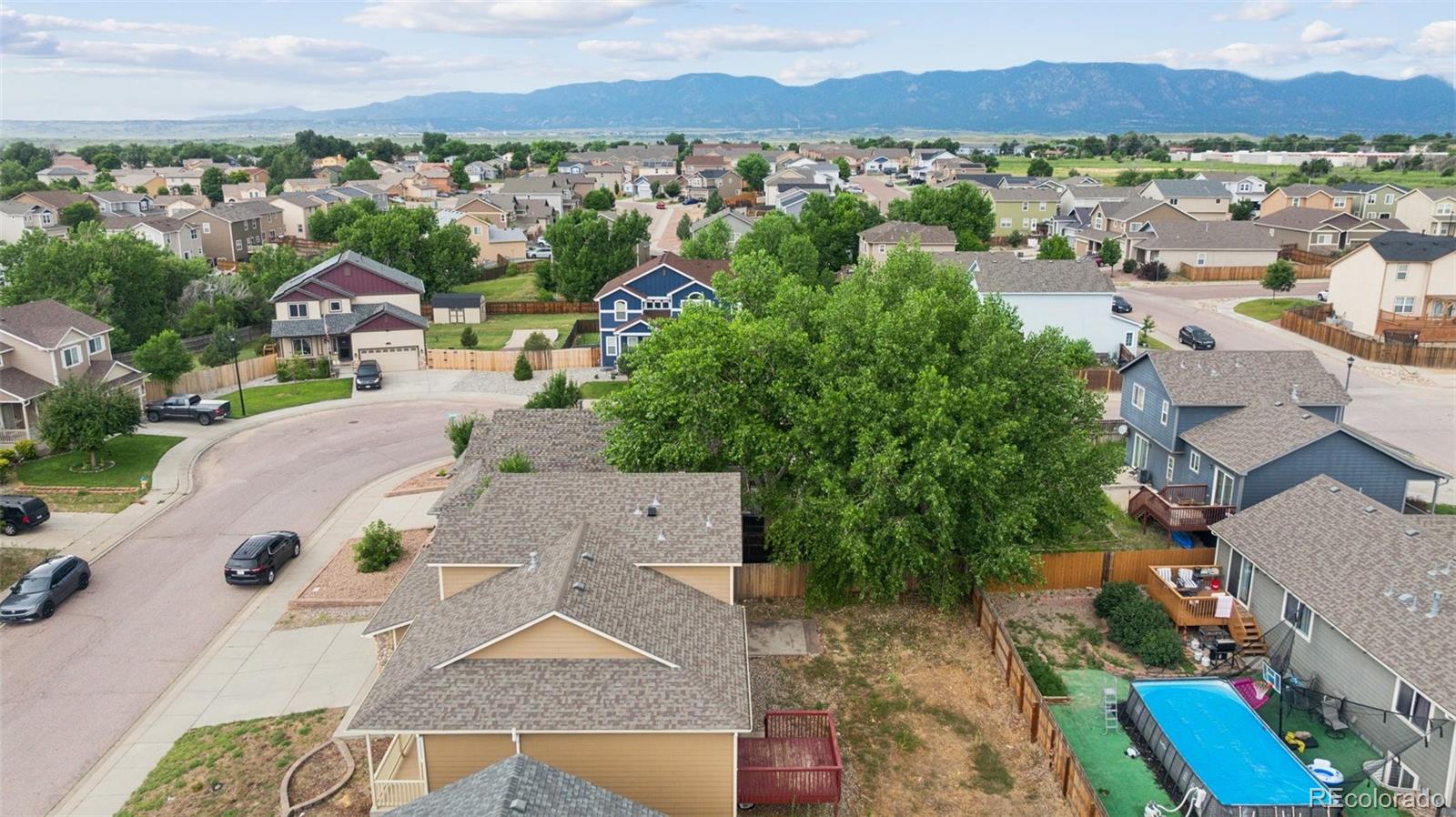 MLS Image #4 for 7420  wind haven trail,fountain, Colorado