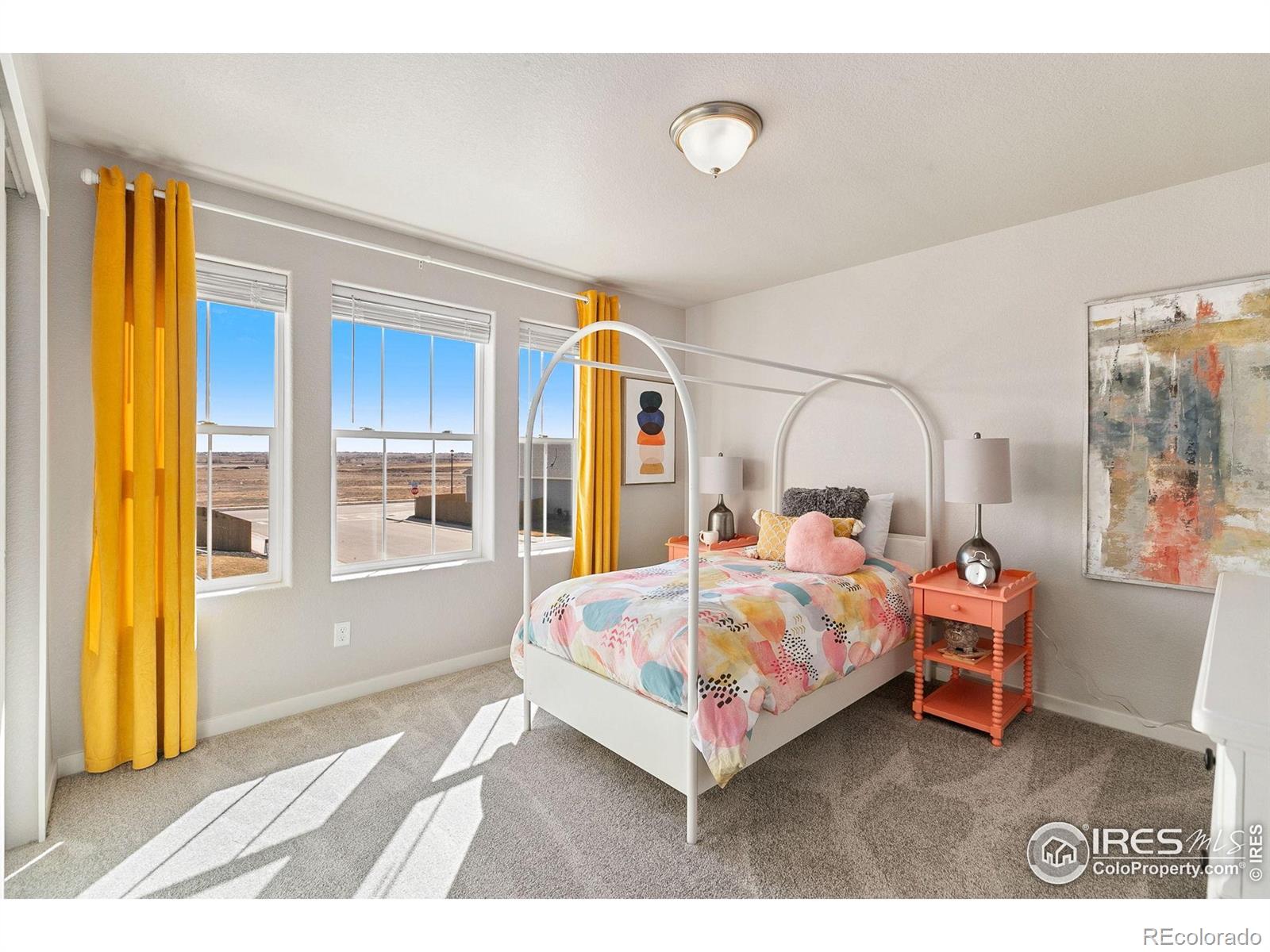 MLS Image #18 for 19  chipeta way,lochbuie, Colorado