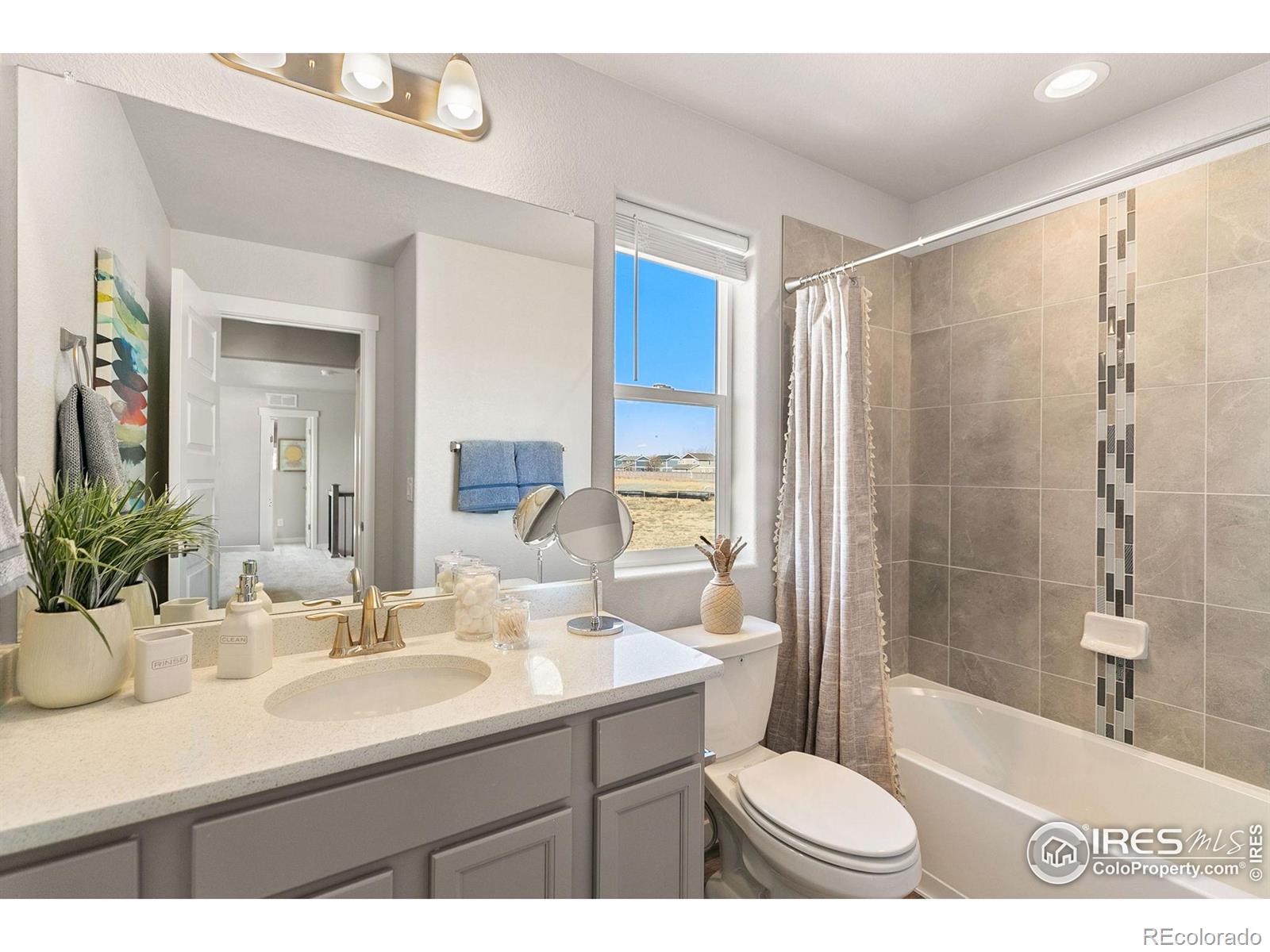 MLS Image #20 for 19  chipeta way,lochbuie, Colorado