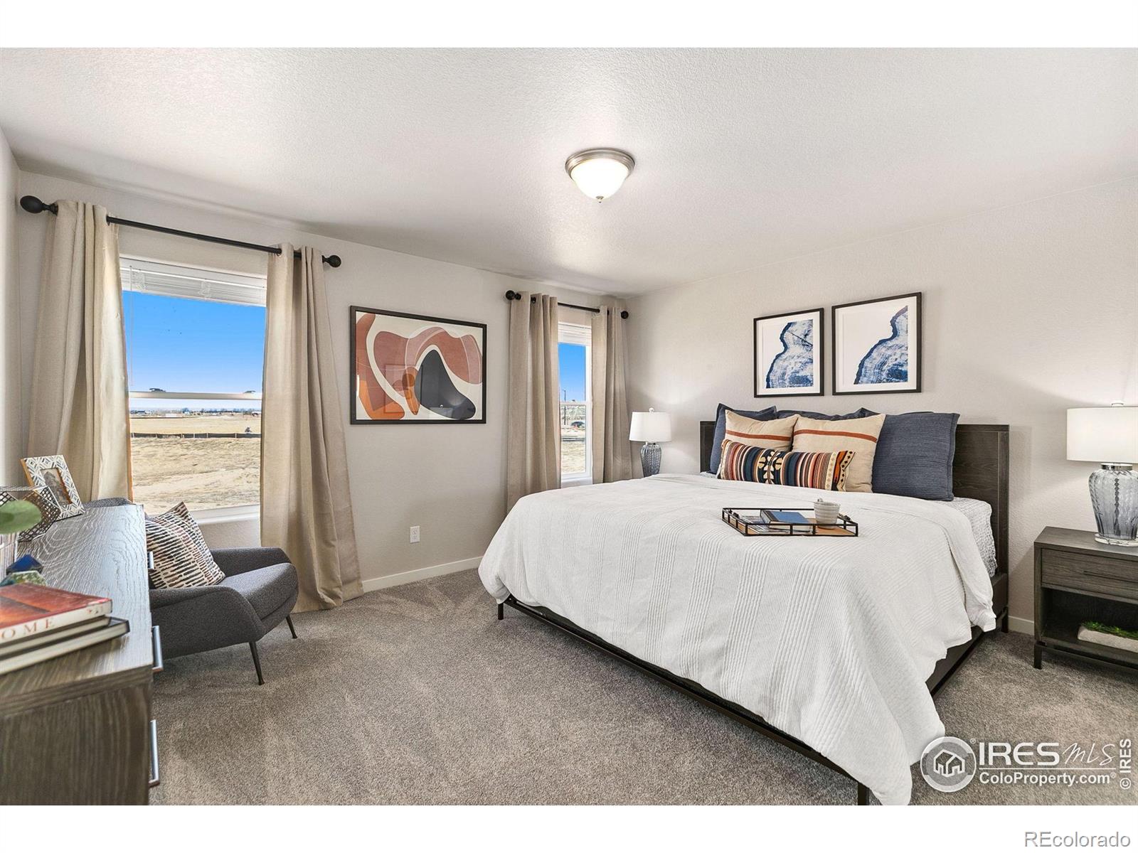 MLS Image #22 for 19  chipeta way,lochbuie, Colorado