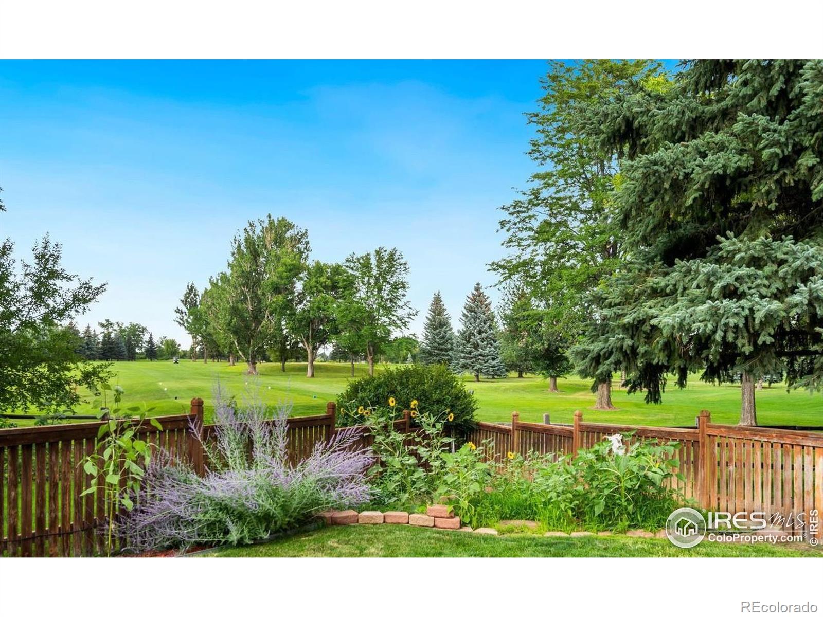 MLS Image #29 for 1412  ticonderoga drive,fort collins, Colorado