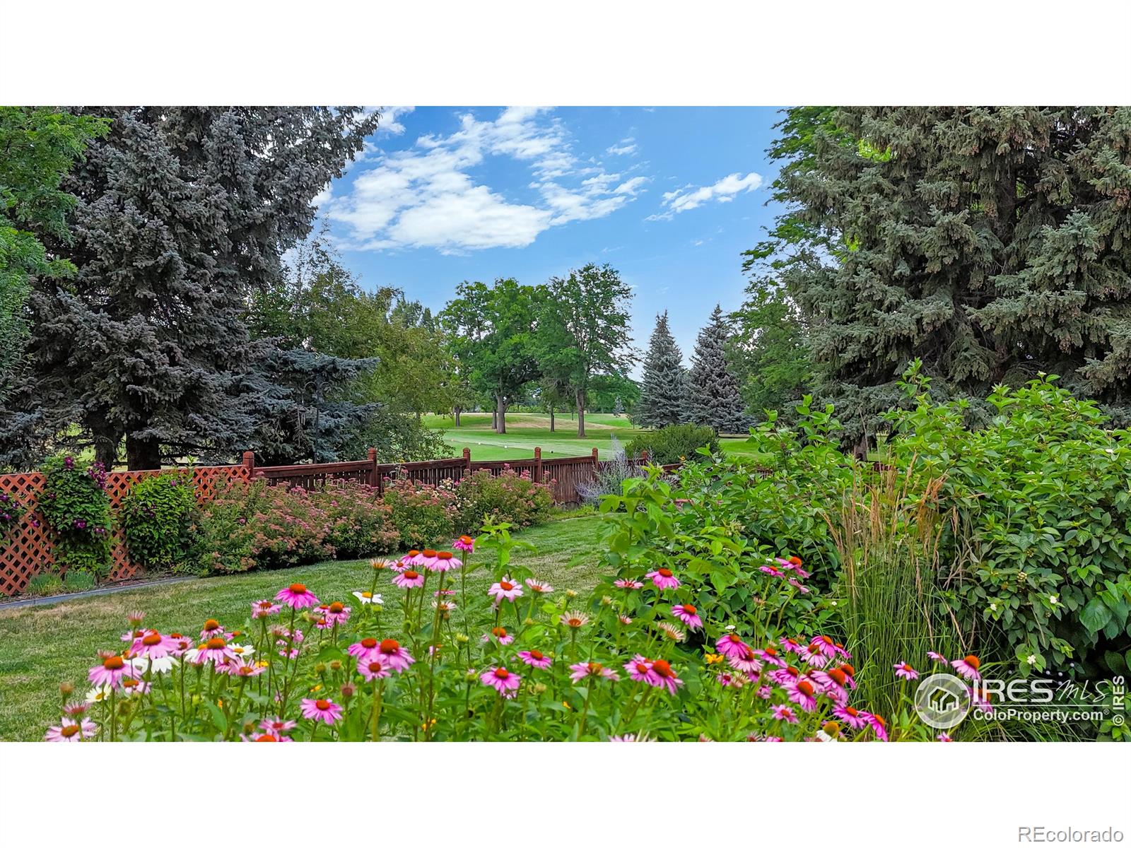 MLS Image #31 for 1412  ticonderoga drive,fort collins, Colorado