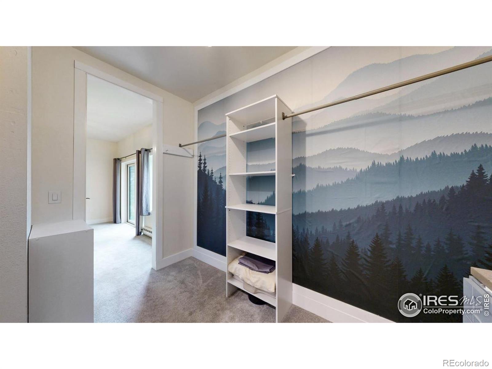 MLS Image #10 for 1013  lazy z road,nederland, Colorado