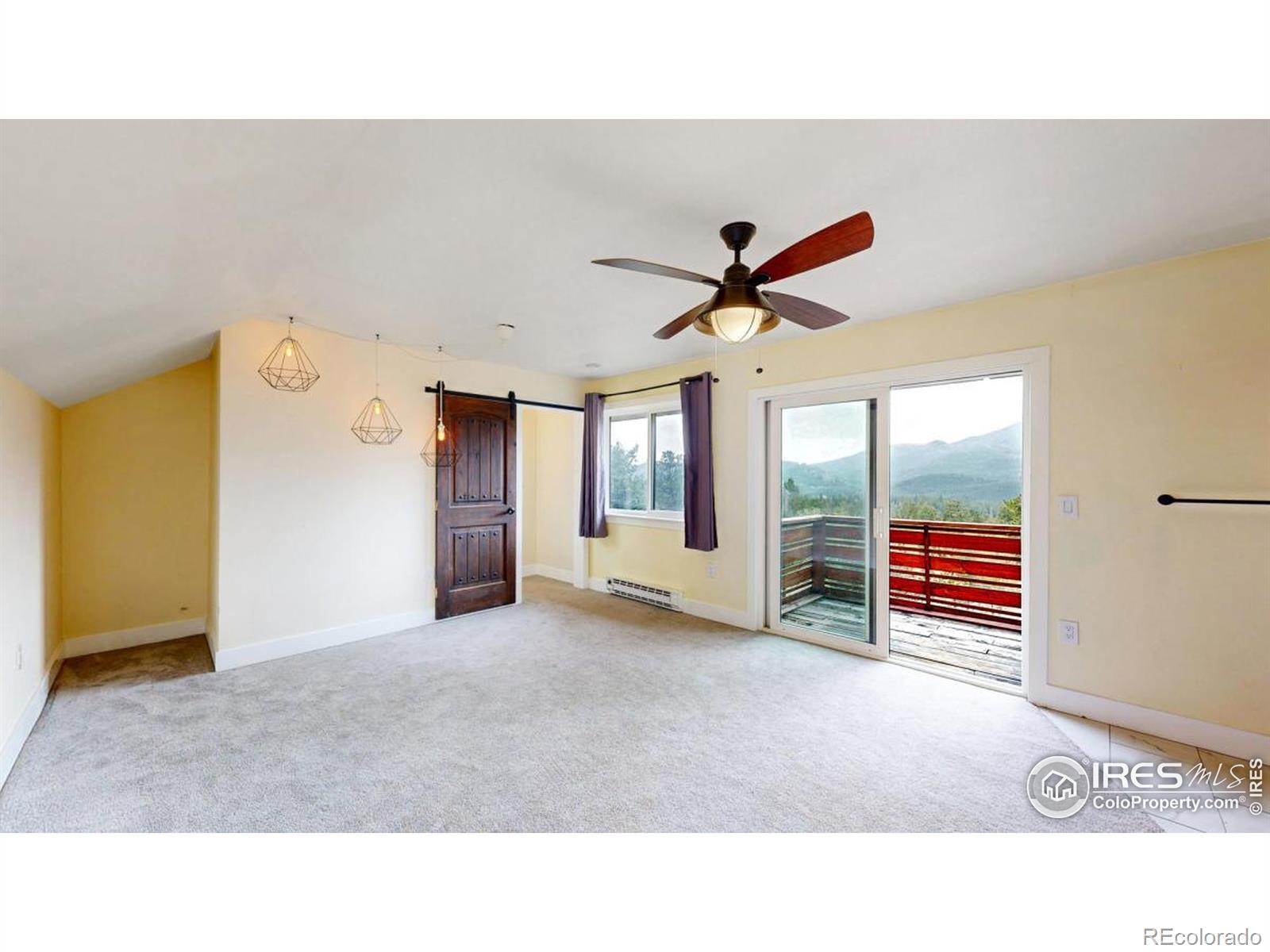 MLS Image #12 for 1013  lazy z road,nederland, Colorado