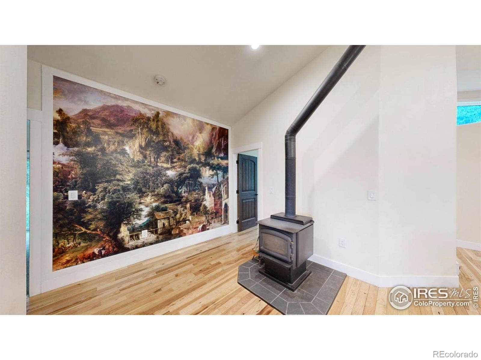 MLS Image #18 for 1013  lazy z road,nederland, Colorado