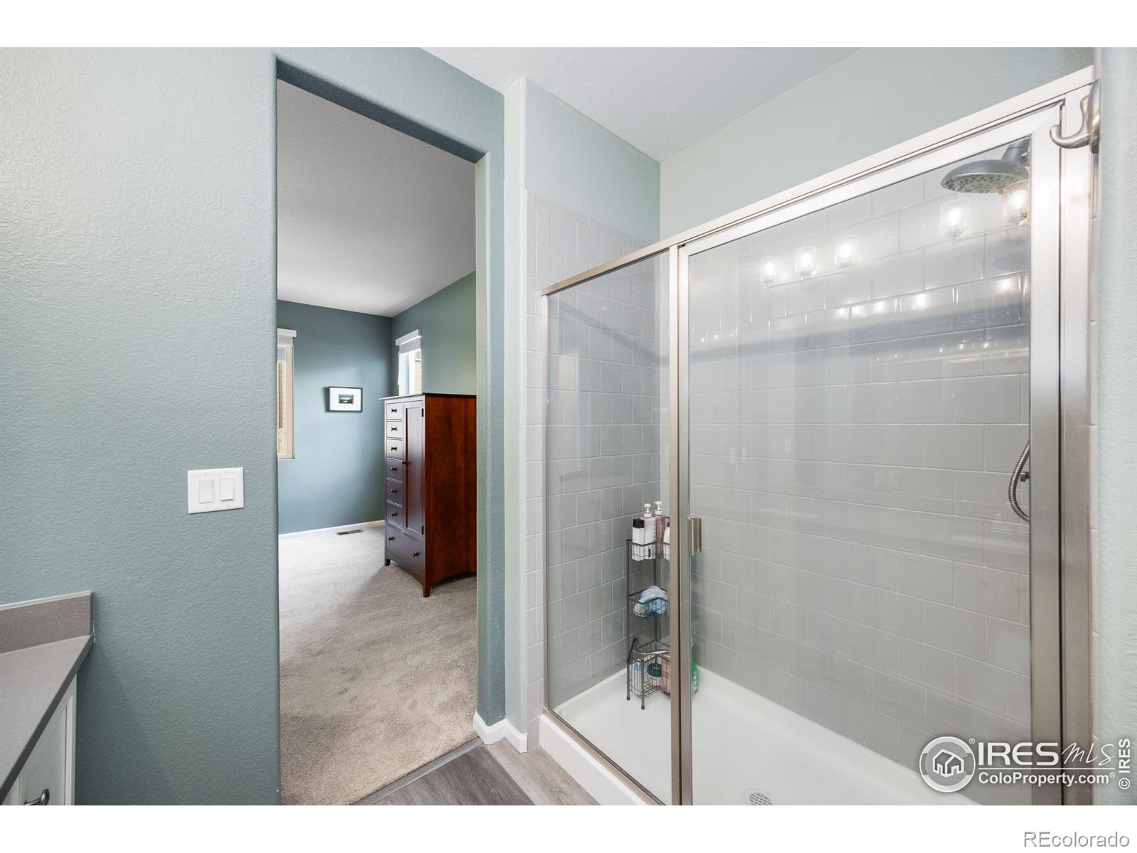 MLS Image #22 for 5725  bay hill drive,windsor, Colorado