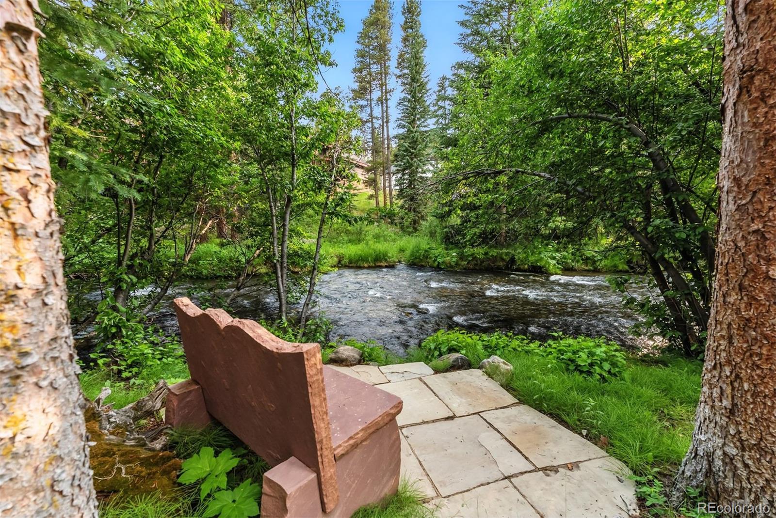 MLS Image #5 for 165  river park drive,breckenridge, Colorado