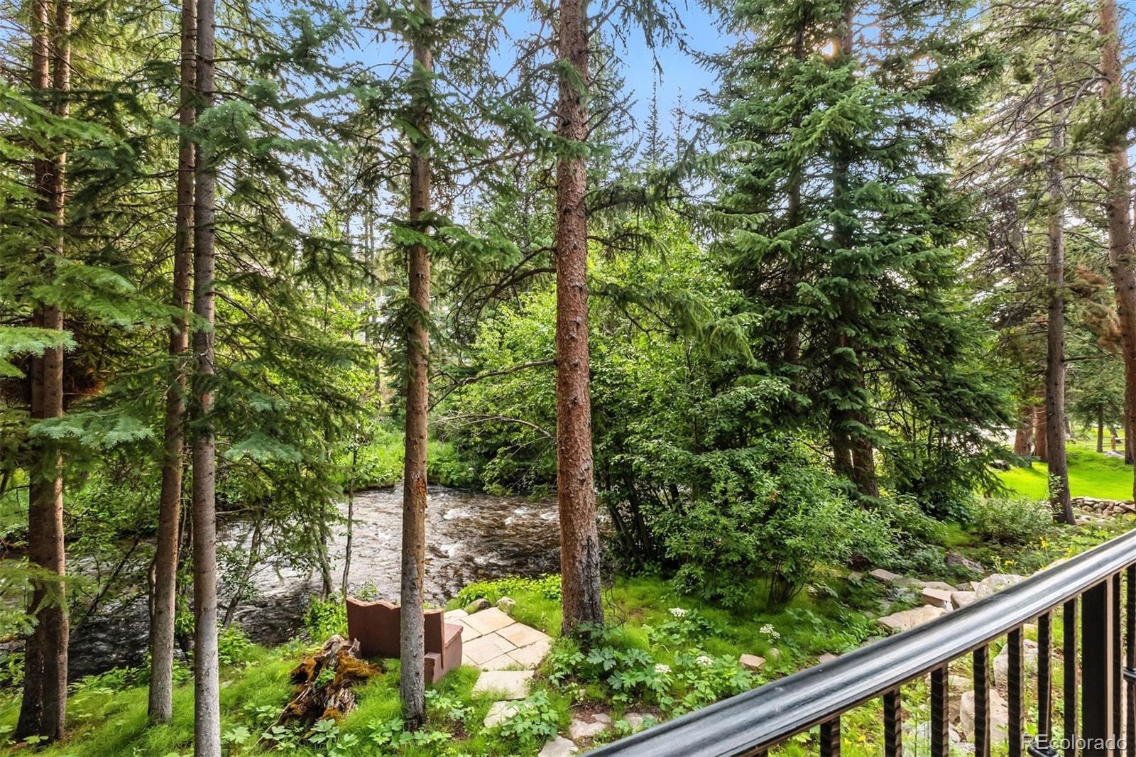 MLS Image #7 for 165  river park drive,breckenridge, Colorado