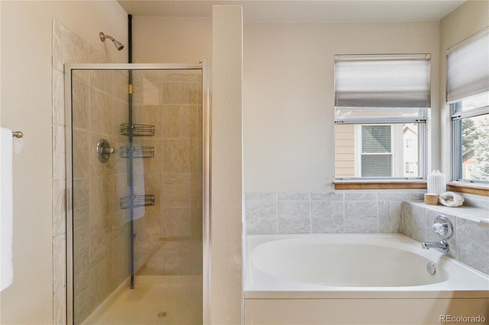 MLS Image #38 for 17049 e carr avenue,parker, Colorado
