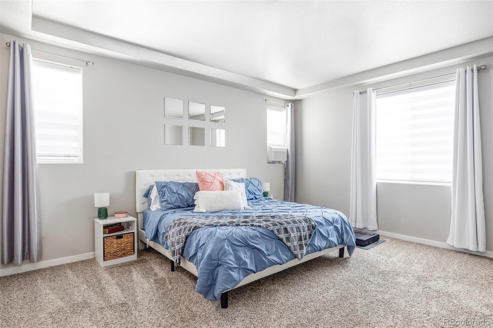MLS Image #20 for 861  sunlight peak drive,severance, Colorado