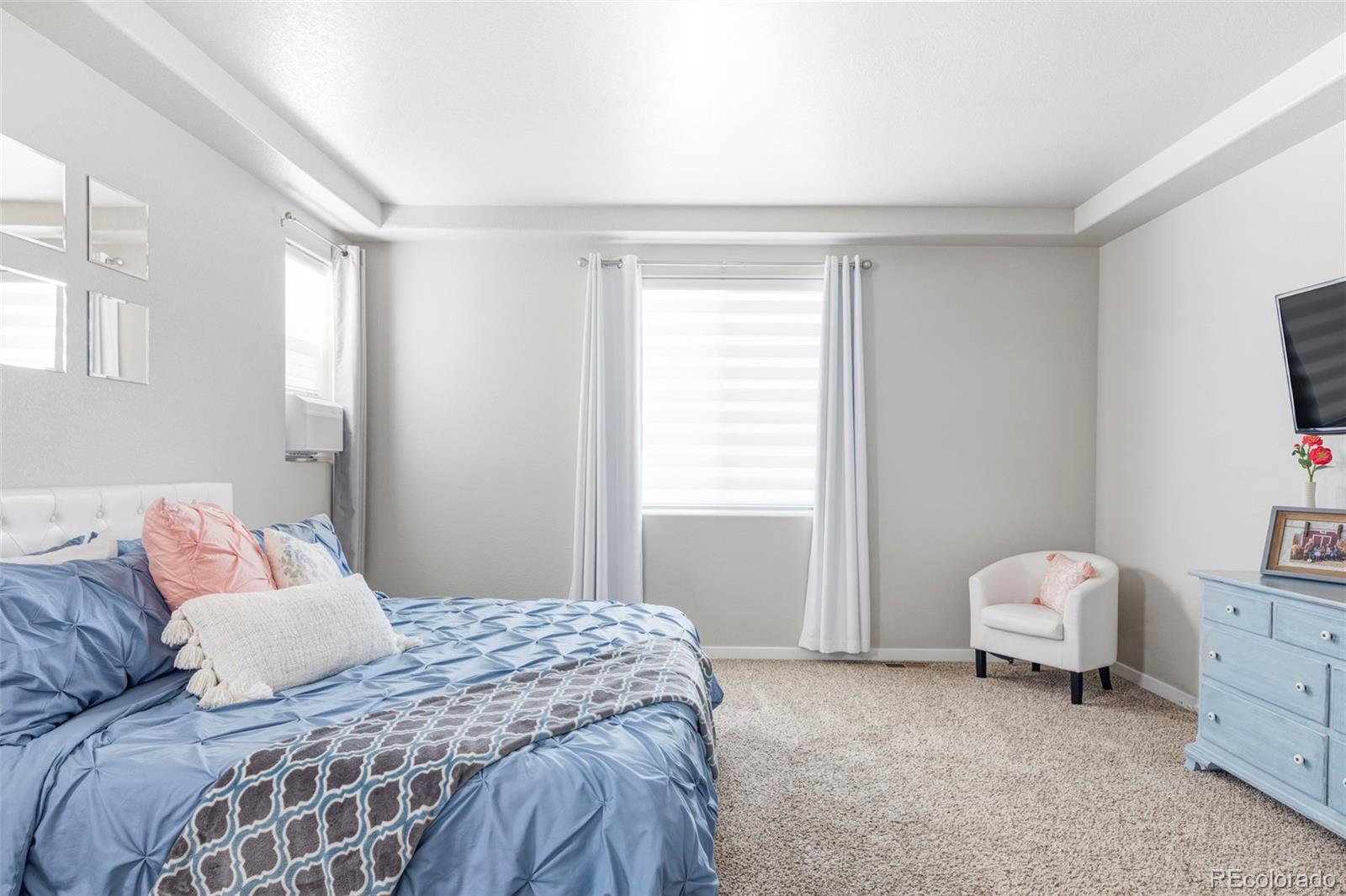 MLS Image #21 for 861  sunlight peak drive,severance, Colorado