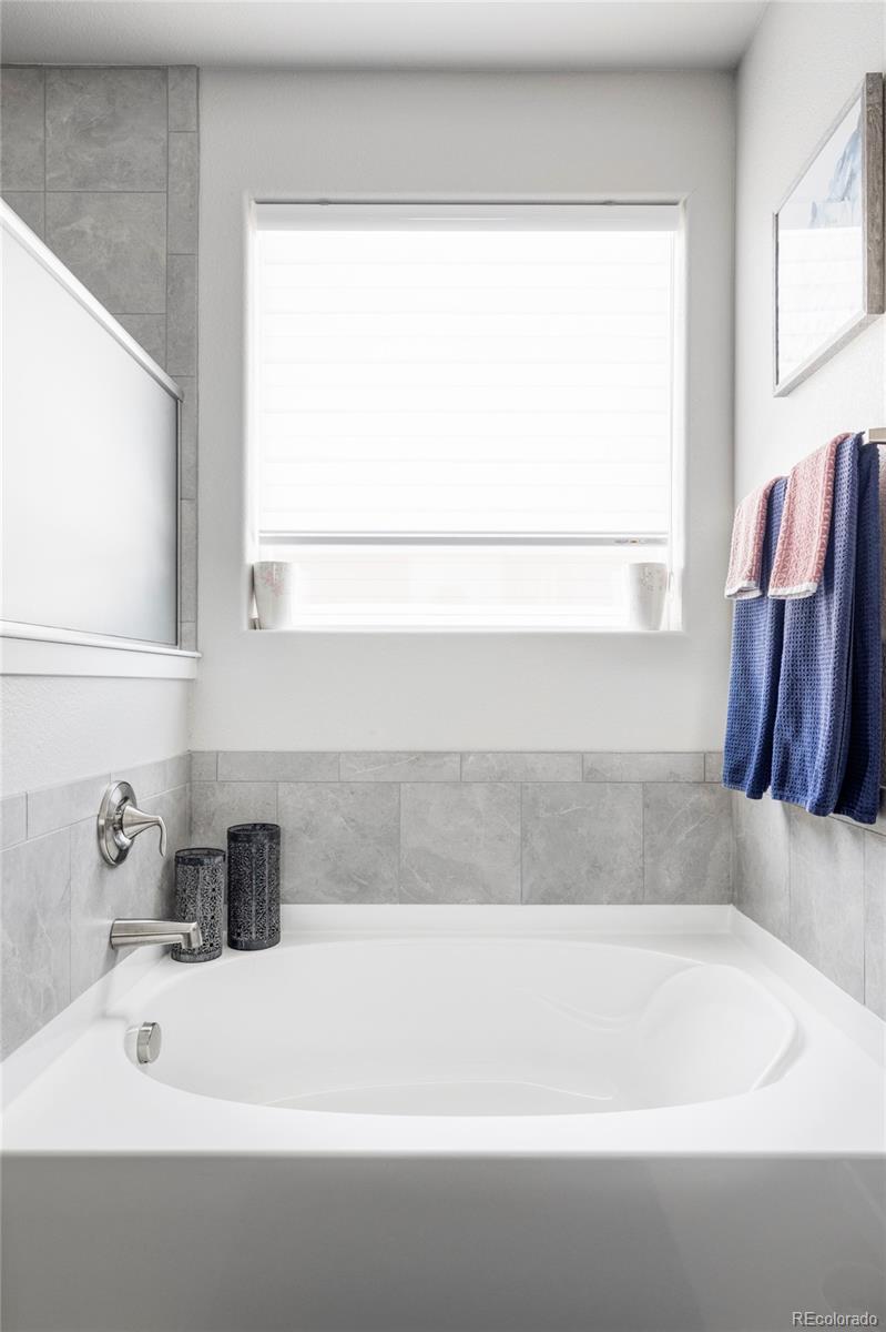 MLS Image #23 for 861  sunlight peak drive,severance, Colorado