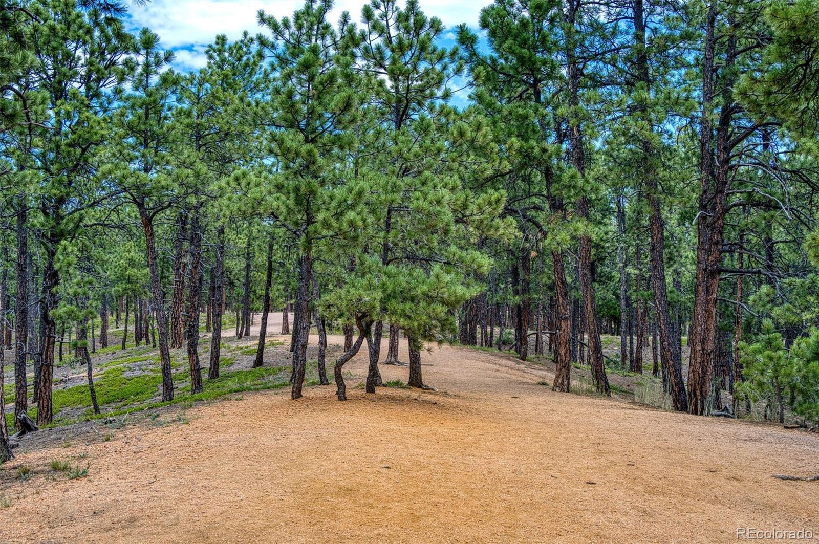 MLS Image #38 for 16477  corkbark terrace,monument, Colorado