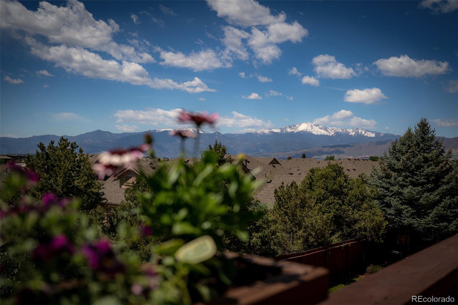MLS Image #8 for 3544  cape romain drive,colorado springs, Colorado