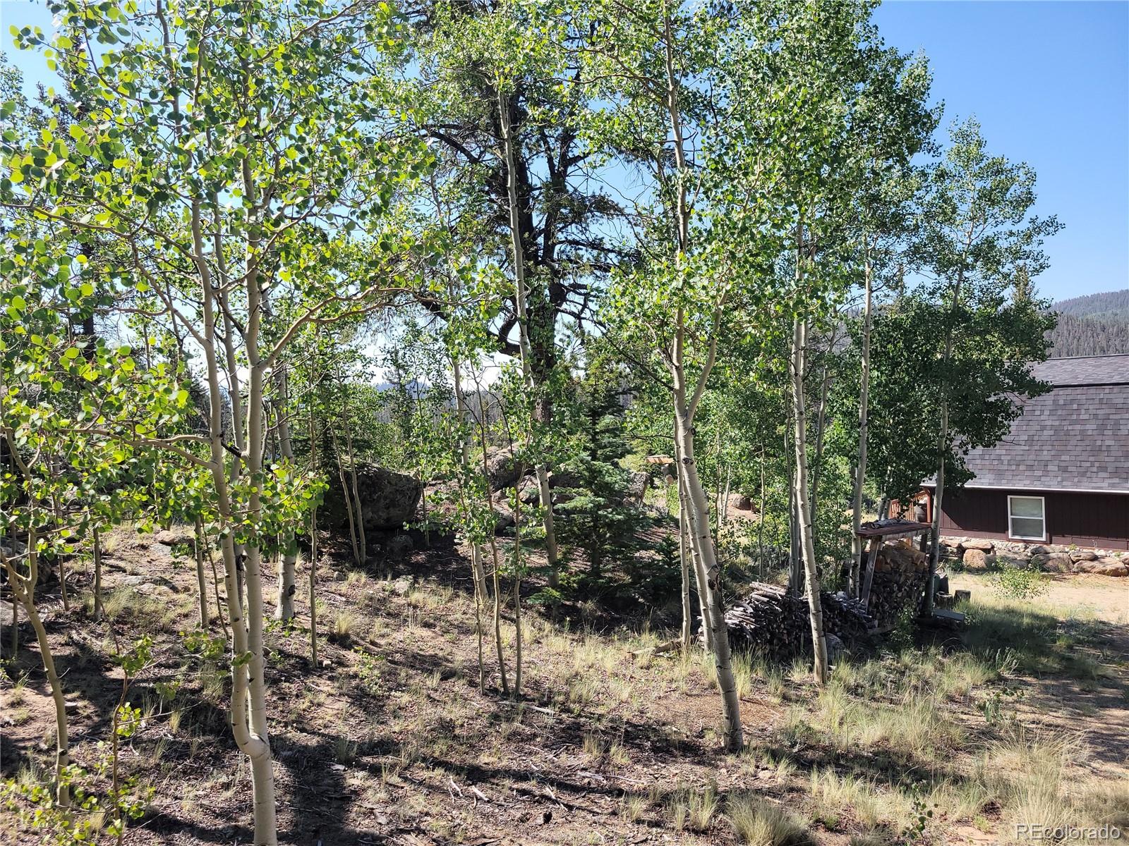 MLS Image #14 for 172  ambush lane,jefferson, Colorado