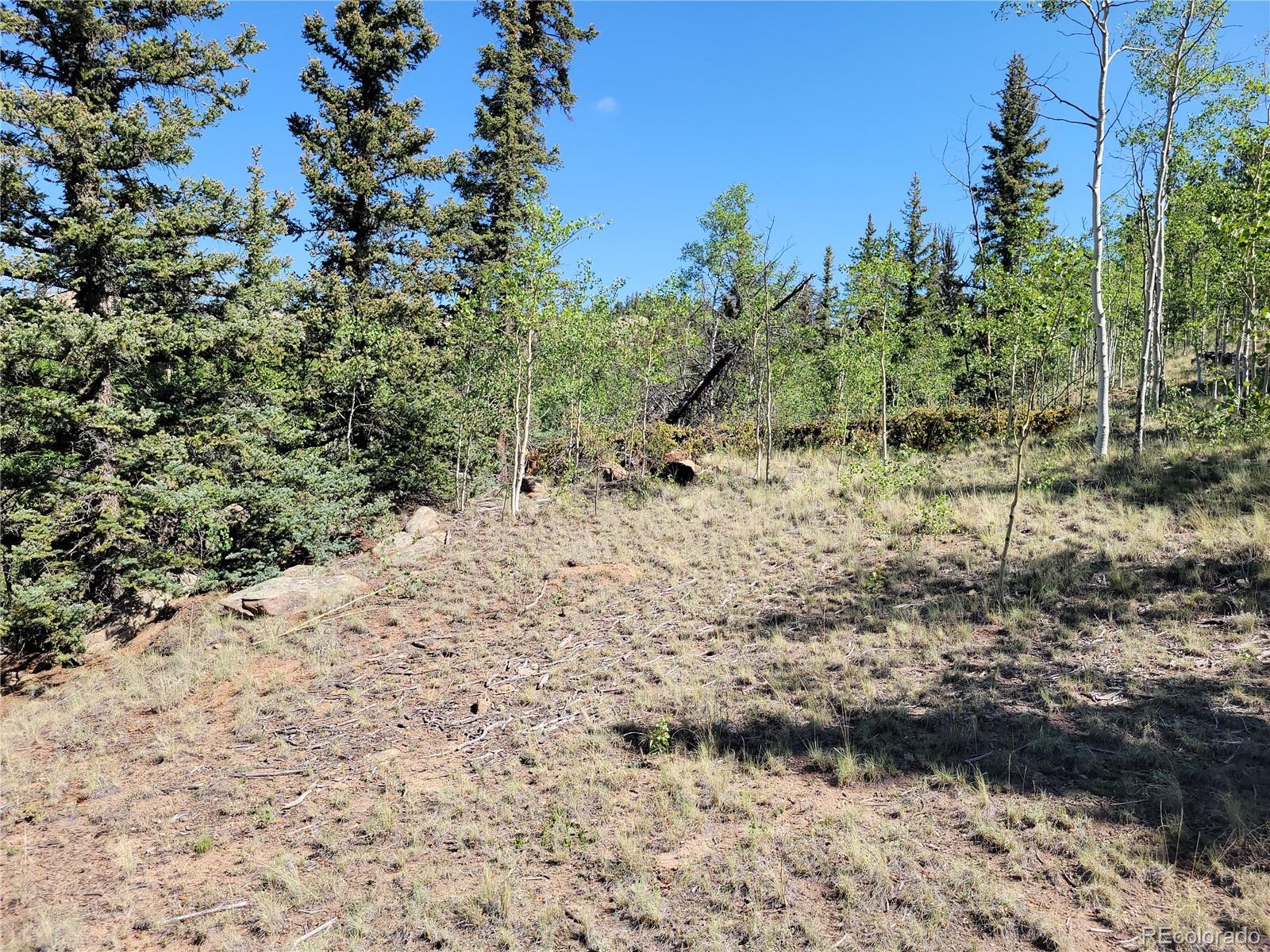 MLS Image #15 for 172  ambush lane,jefferson, Colorado