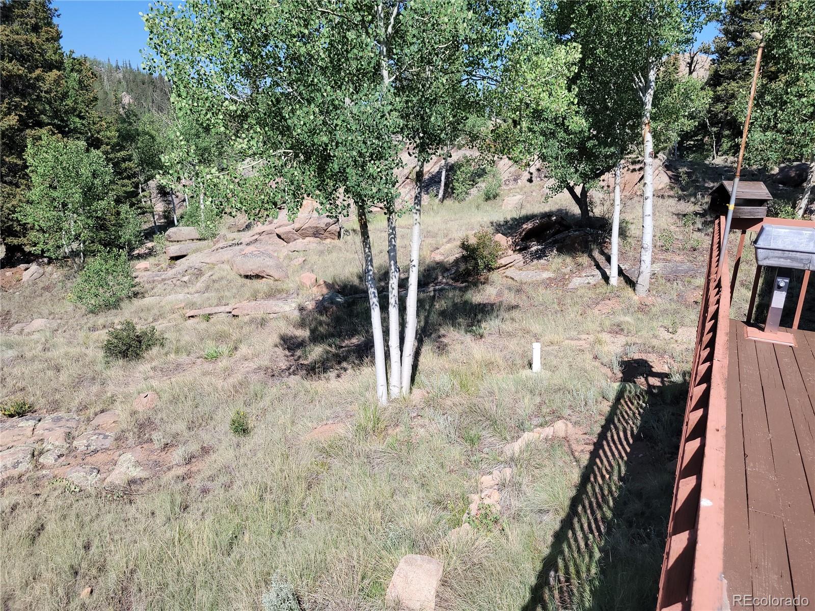 MLS Image #9 for 172  ambush lane,jefferson, Colorado