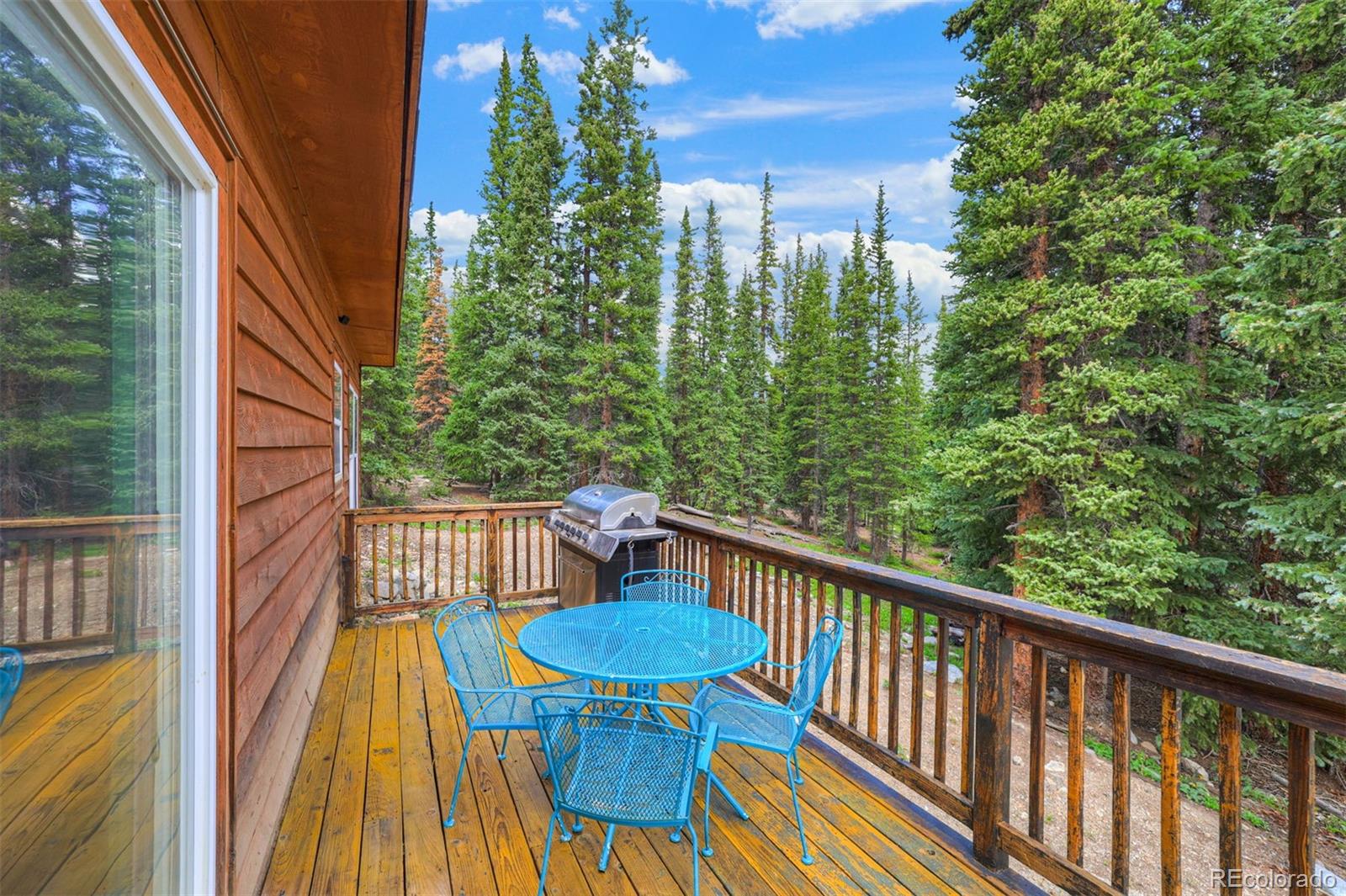MLS Image #14 for 1167  mountain view drive,fairplay, Colorado