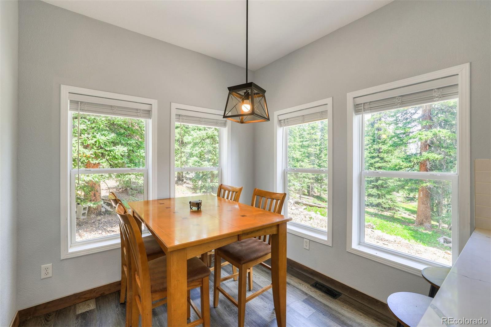 MLS Image #16 for 1167  mountain view drive,fairplay, Colorado