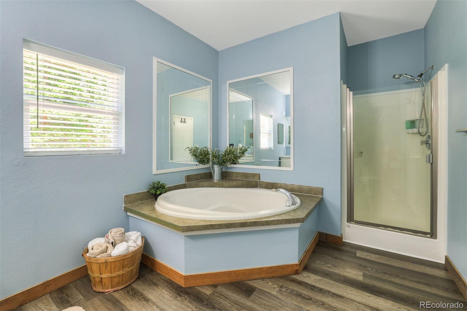 MLS Image #22 for 1167  mountain view drive,fairplay, Colorado