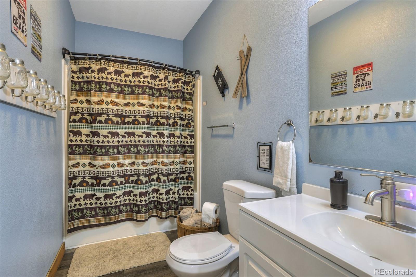 MLS Image #25 for 1167  mountain view drive,fairplay, Colorado