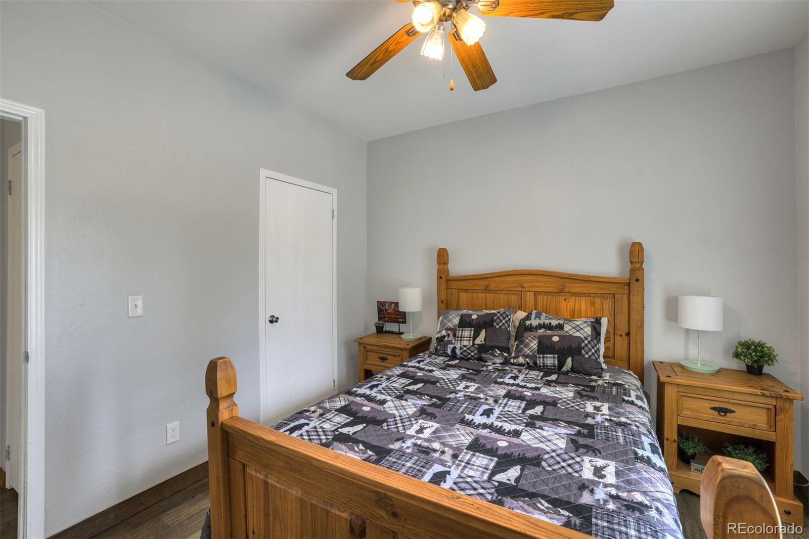 MLS Image #27 for 1167  mountain view drive,fairplay, Colorado