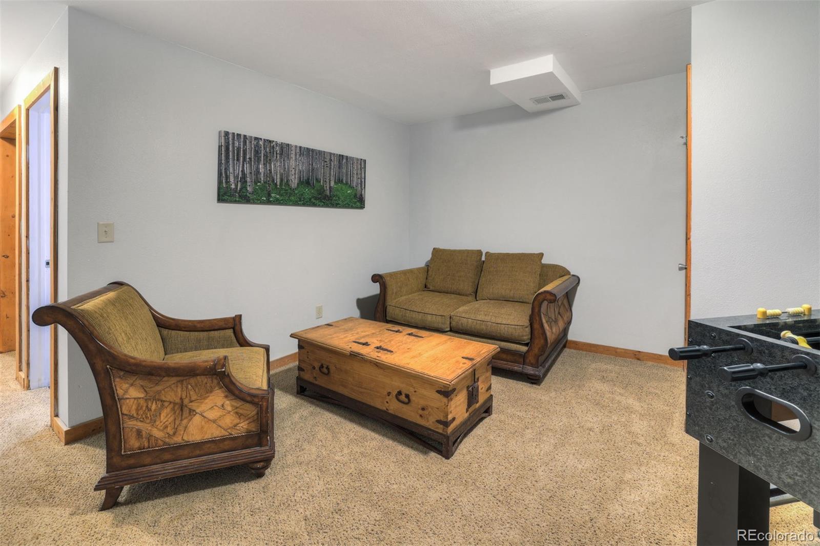 MLS Image #28 for 1167  mountain view drive,fairplay, Colorado