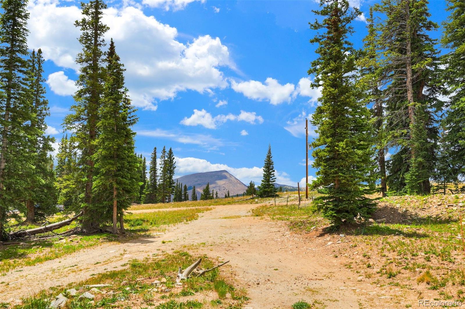 MLS Image #38 for 1167  mountain view drive,fairplay, Colorado
