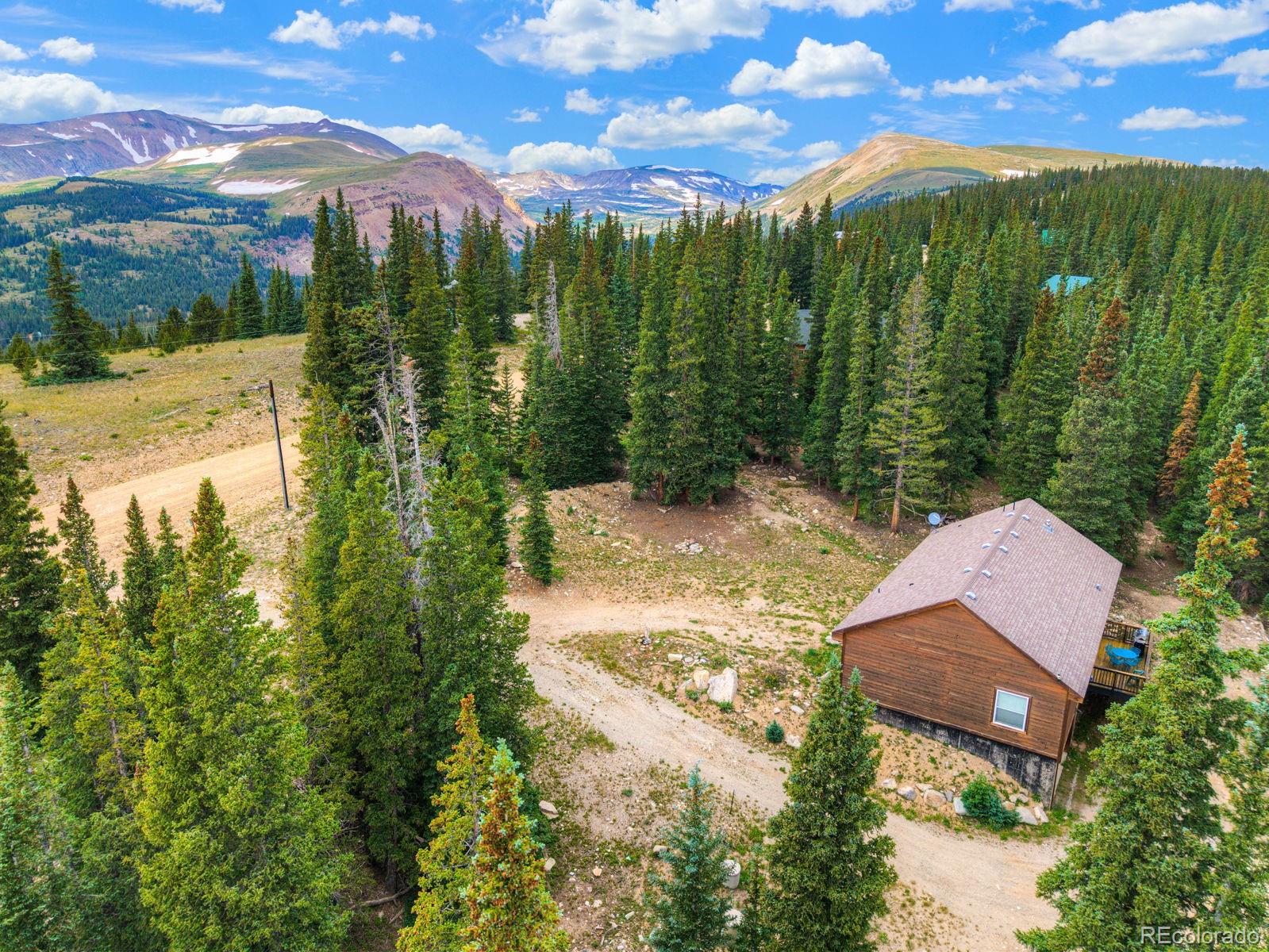 MLS Image #39 for 1167  mountain view drive,fairplay, Colorado