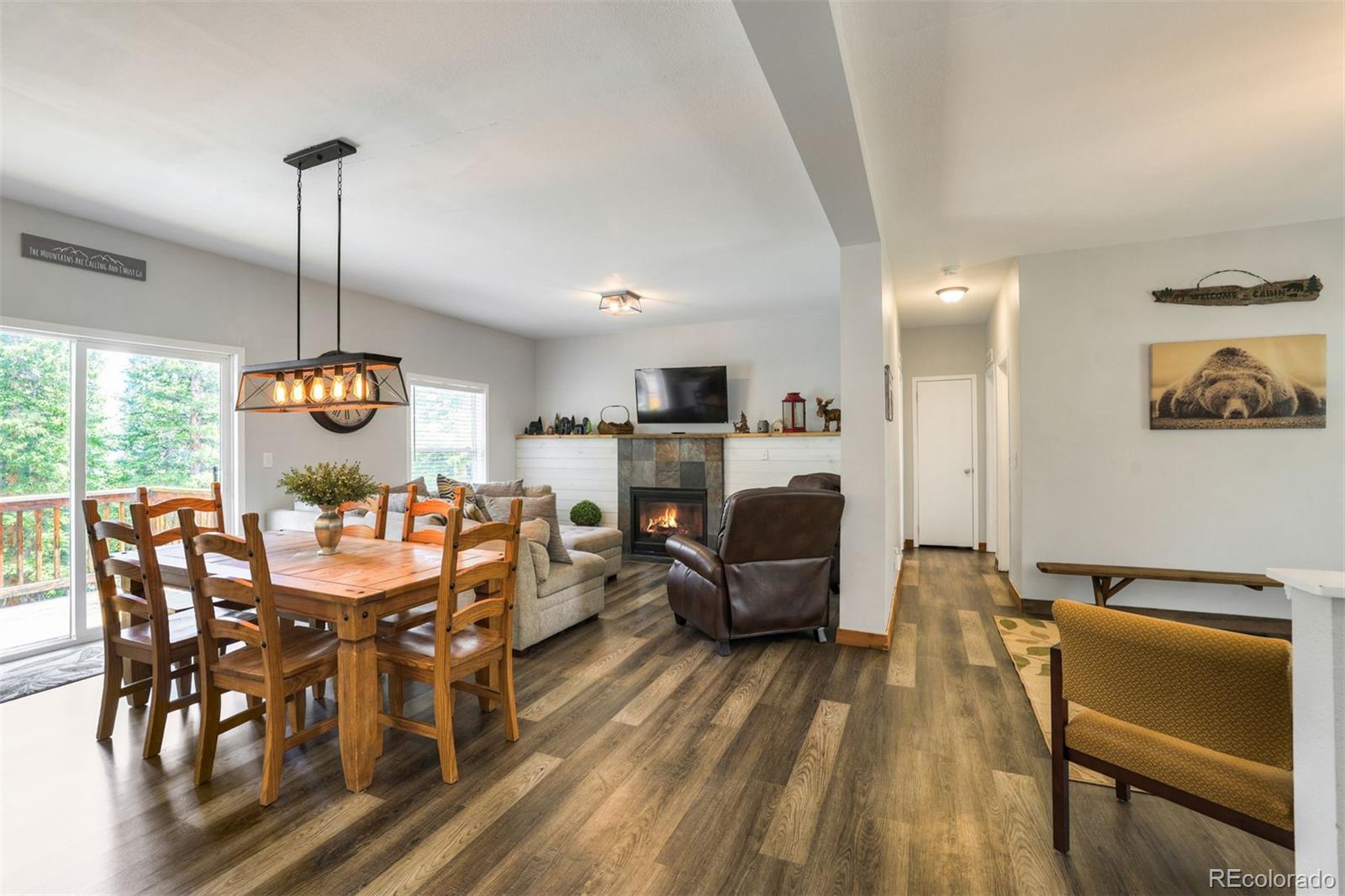 MLS Image #4 for 1167  mountain view drive,fairplay, Colorado
