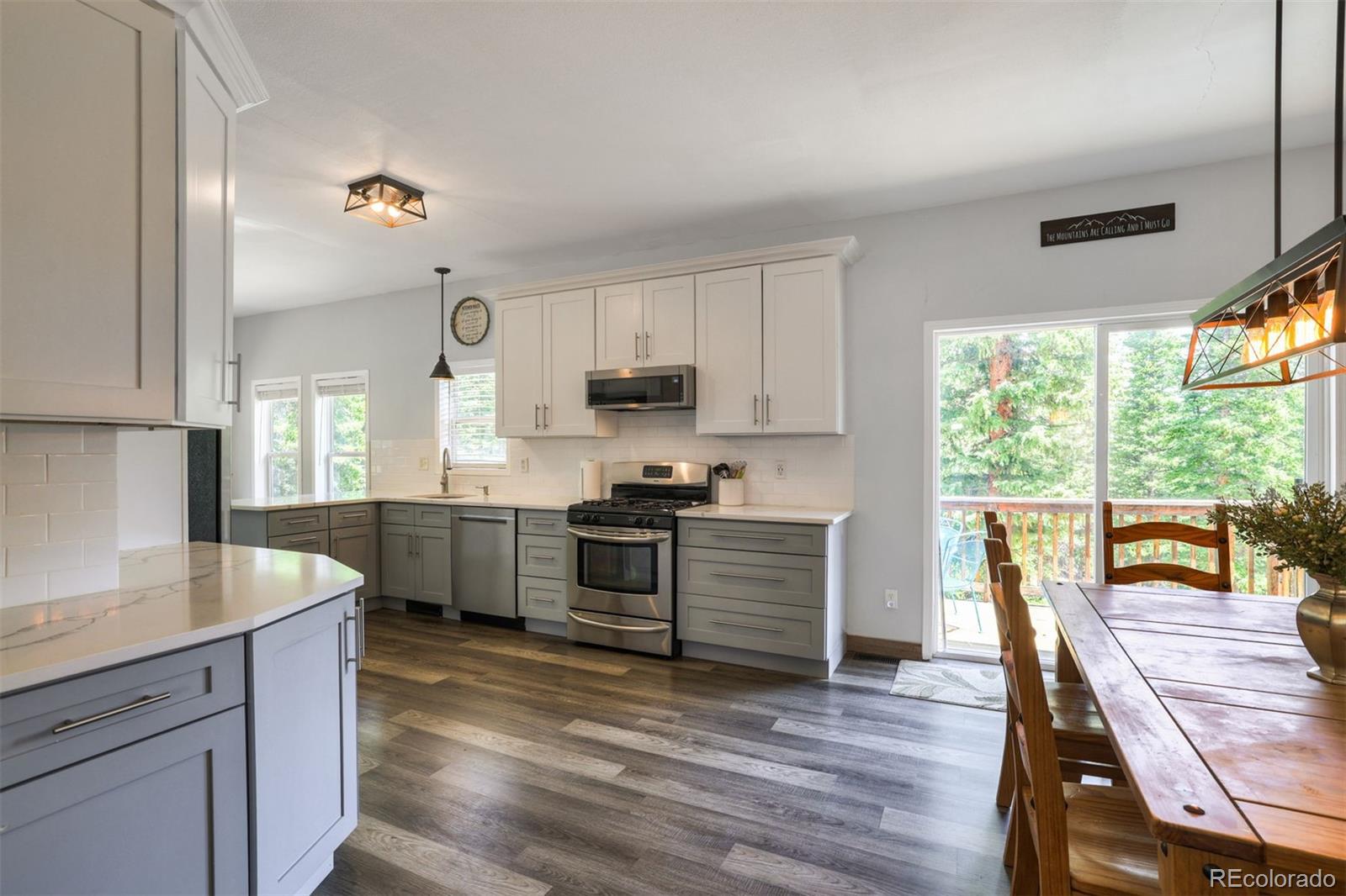 MLS Image #5 for 1167  mountain view drive,fairplay, Colorado