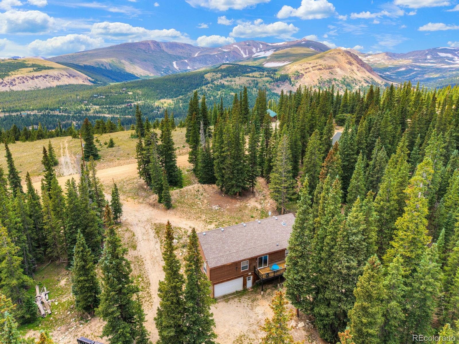 MLS Image #8 for 1167  mountain view drive,fairplay, Colorado