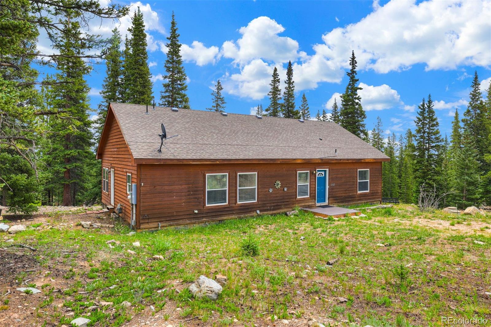 MLS Image #9 for 1167  mountain view drive,fairplay, Colorado